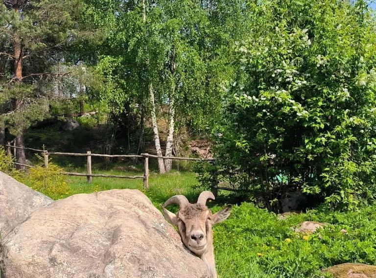 дом р-н Выборгский п Козлово Каменногорское городское поселение, 30 фото 26