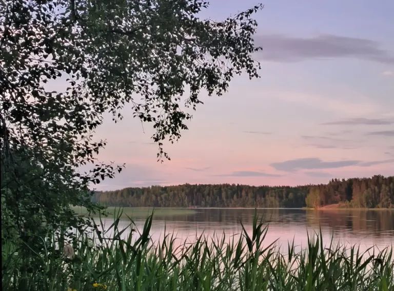 дом р-н Выборгский п Козлово Каменногорское городское поселение, 30 фото 27