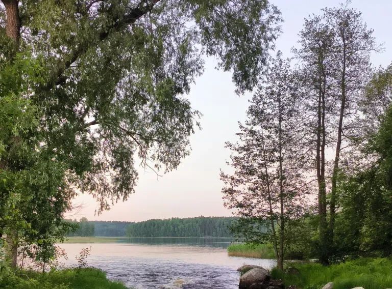 дом р-н Выборгский п Козлово Каменногорское городское поселение, 30 фото 28