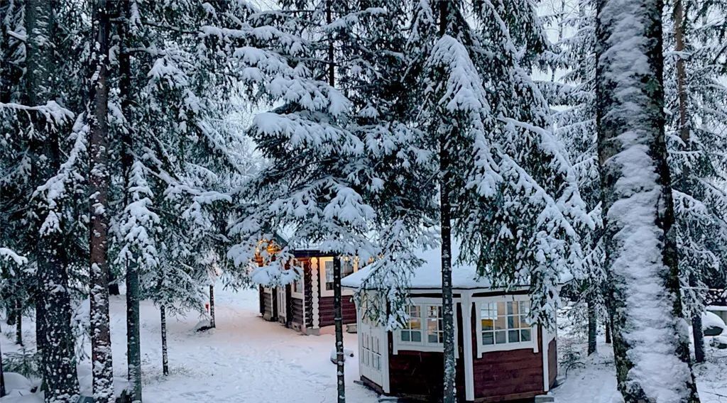 дом р-н Выборгский г Приморск пр-д Береговой 10 фото 3