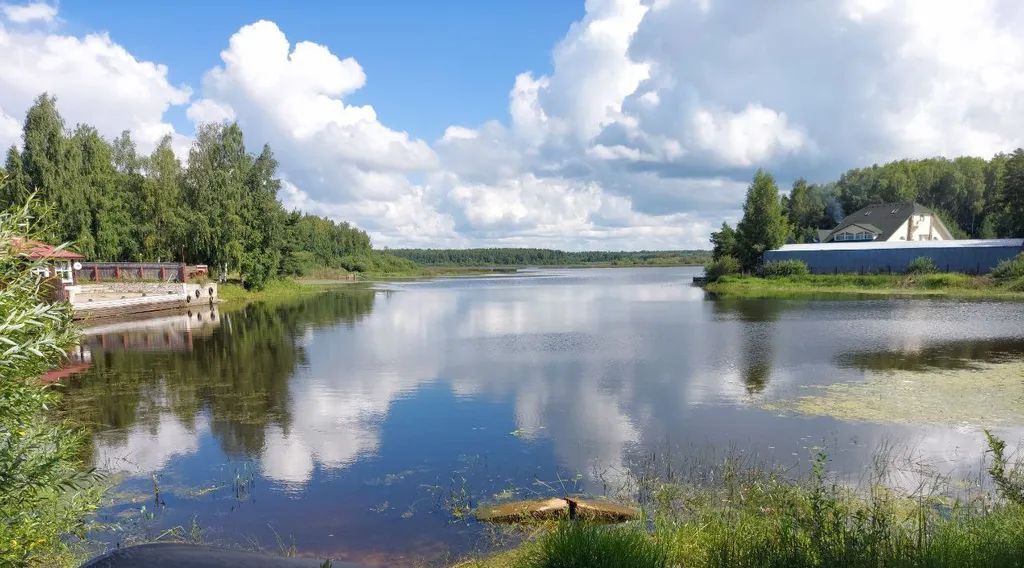 дом р-н Пошехонский д Пачеболка ул Сосновая 16 Кременевское с/пос фото 3