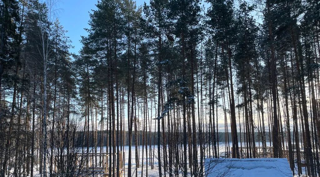 дом р-н Городецкий д. Большой Суходол, 15 фото 22