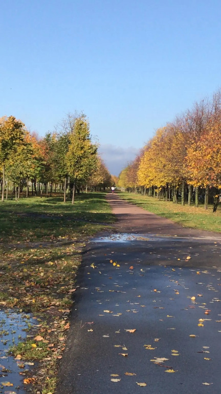 квартира г Санкт-Петербург б-р Александра Грина 3 Морской округ фото 17