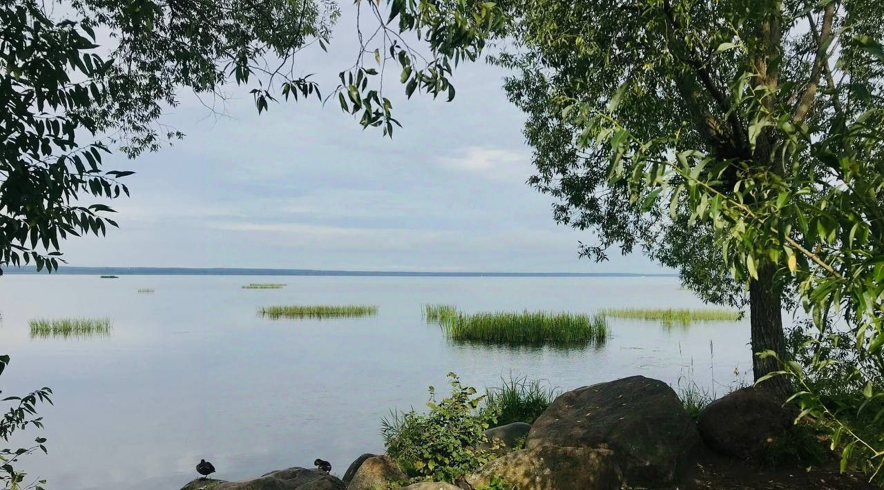 дом г Переславль-Залесский ул Левая Набережная фото 30