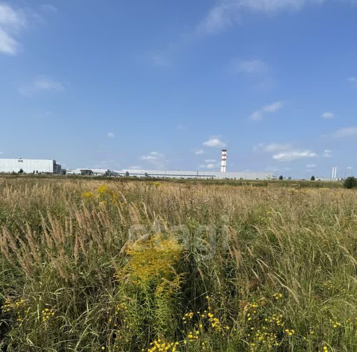 земля р-н Ферзиковский с Грабцево Деревня Горневская сл фото 4