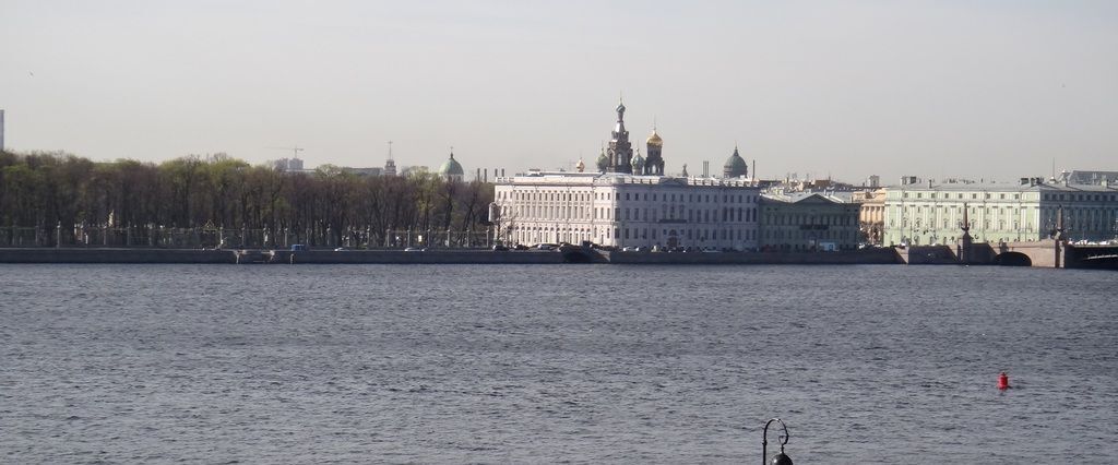 квартира г Санкт-Петербург метро Горьковская ул Мичуринская 1 округ Посадский, Петроградка фото 31