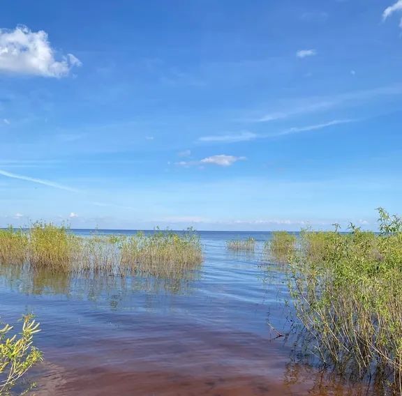 дом р-н Новгородский д Козынево Ракомское с/пос, 64 фото 22