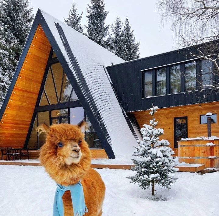 дом городской округ Солнечногорск д Гончары Зеленоград — Крюково фото 1