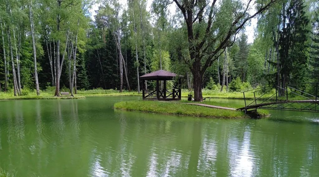 дом городской округ Ступино д Дубечино тер. ТСН Гринвуд ул Солнечная 20а фото 7