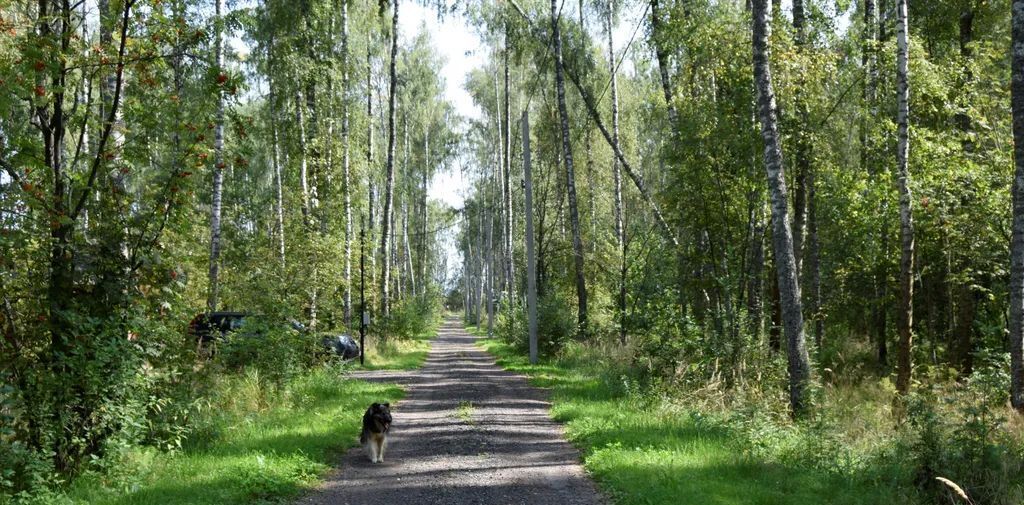 дом городской округ Раменский Гжельское территориальное управление фото 6