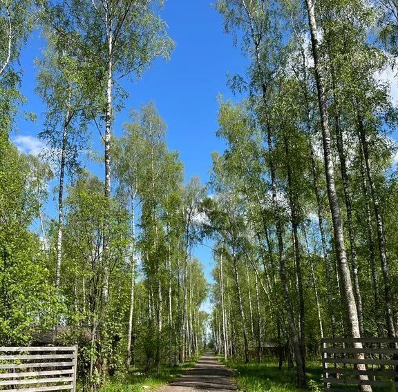 дом городской округ Раменский Гжельское территориальное управление фото 8