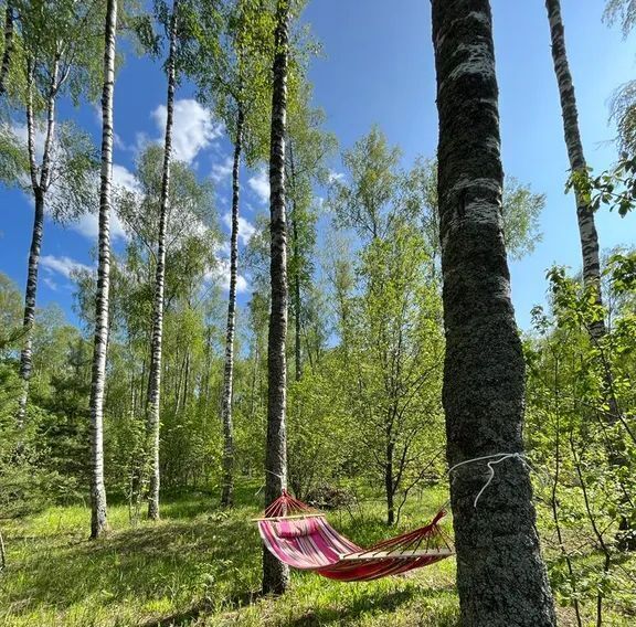 дом городской округ Раменский Гжельское территориальное управление фото 5