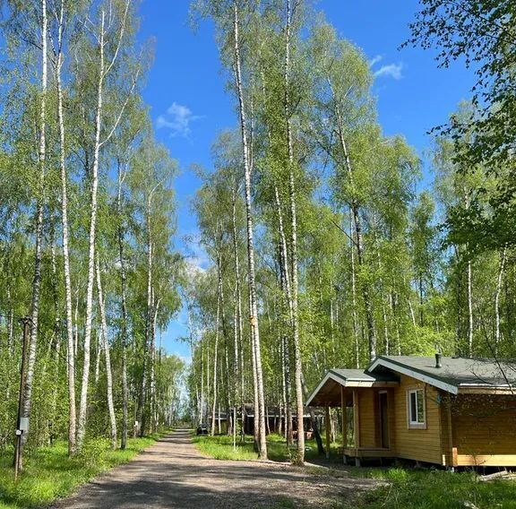 дом городской округ Раменский Гжельское территориальное управление фото 6