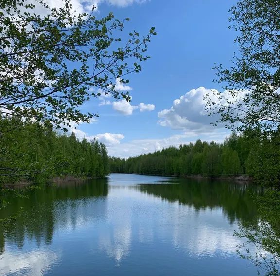 дом городской округ Богородский п Воровского СНТ, 176, Отдых фото 18