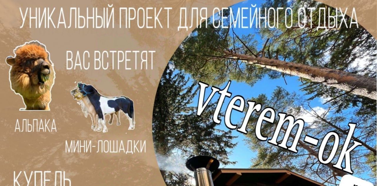 дом городской округ Солнечногорск д Гончары Зеленоград — Крюково фото 25