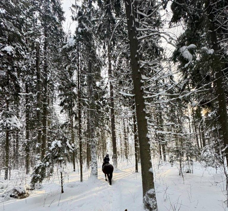 дом городской округ Солнечногорск д Гончары Зеленоград — Крюково фото 36