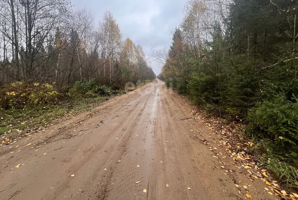 земля р-н Сыктывдинский д Морово СДТ Алёнушка, Последачная улица фото 3