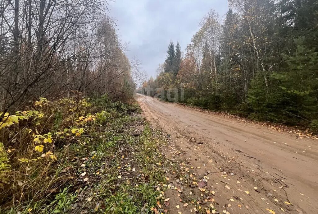 земля р-н Сыктывдинский д Морово СДТ Алёнушка, Последачная улица фото 6