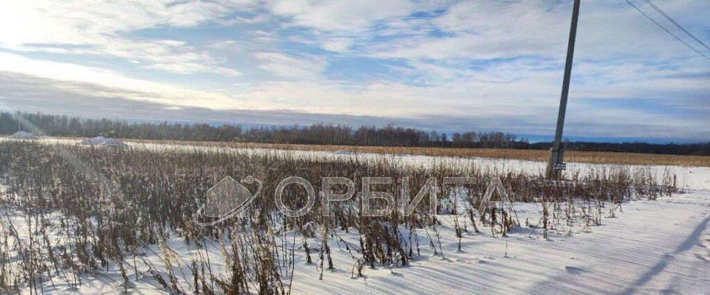 земля р-н Тюменский с Горьковка фото 8