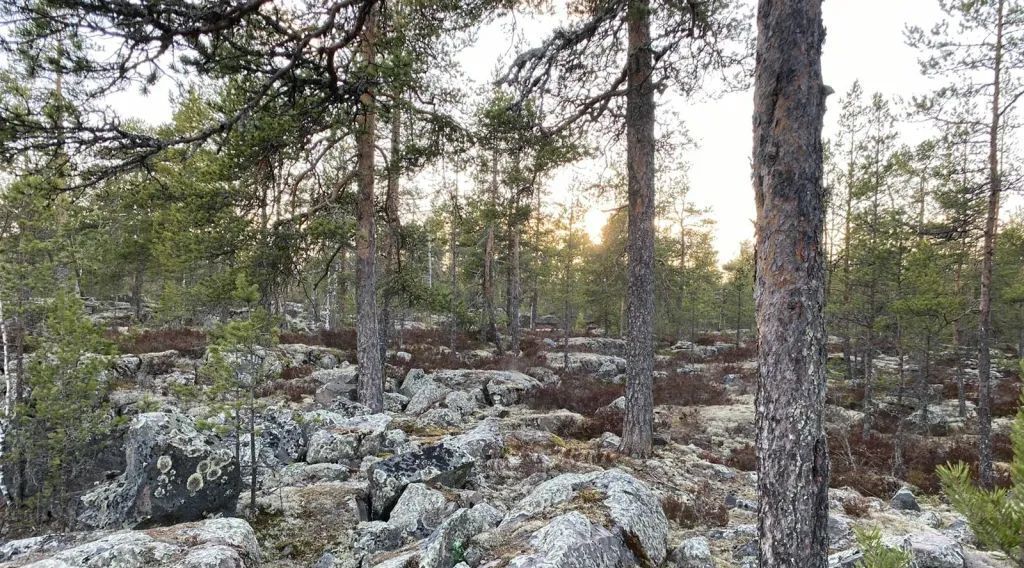 дом р-н Прионежский п Кварцитный Шокшинское с/пос, ул. Набережная, 31 фото 11