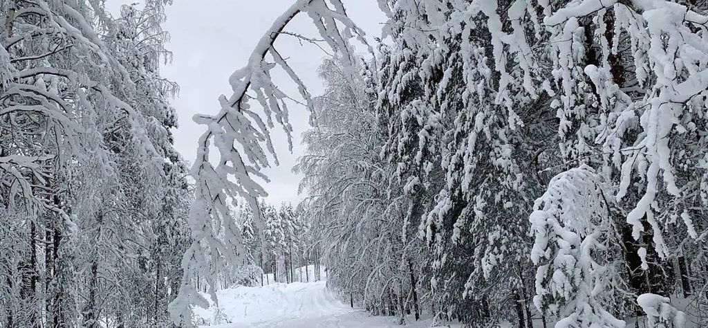 дом р-н Суоярвский фото 25