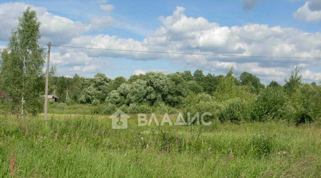 земля р-н Судогодский д Кудрявцево Муромцевское муниципальное образование, 16 фото 3