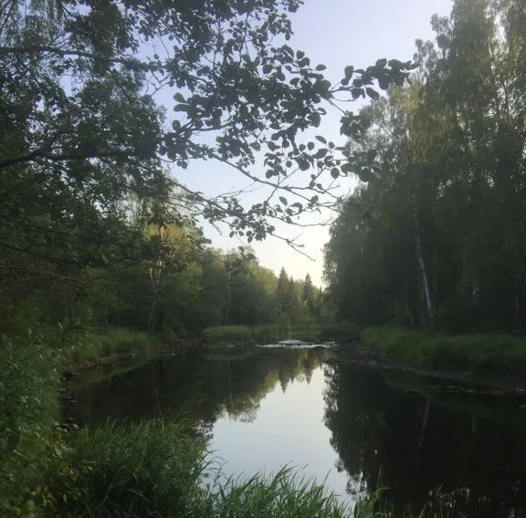 дом р-н Всеволожский Рахьинское городское поселение, ул. Солнечная, 5 фото 25