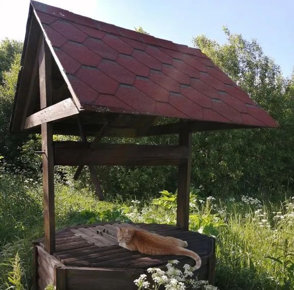 дом р-н Волосовский д Синковицы Бегуницкое с/пос, 34 фото 12