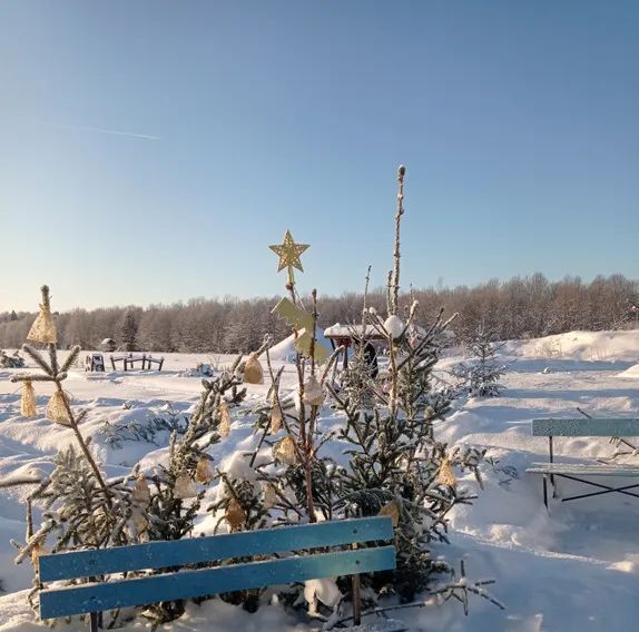 дом р-н Волосовский д Синковицы Бегуницкое с/пос, 34 фото 14