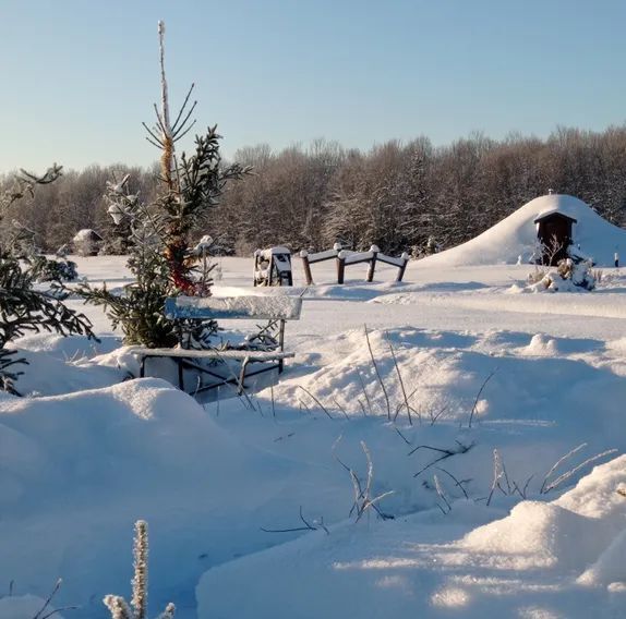 дом р-н Волосовский д Синковицы Бегуницкое с/пос, 34 фото 15