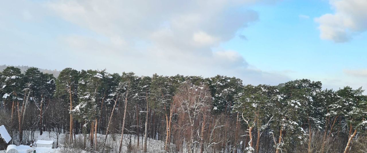 квартира городской округ Одинцовский г Звенигород ул Красная Гора 1к/1 фото 30