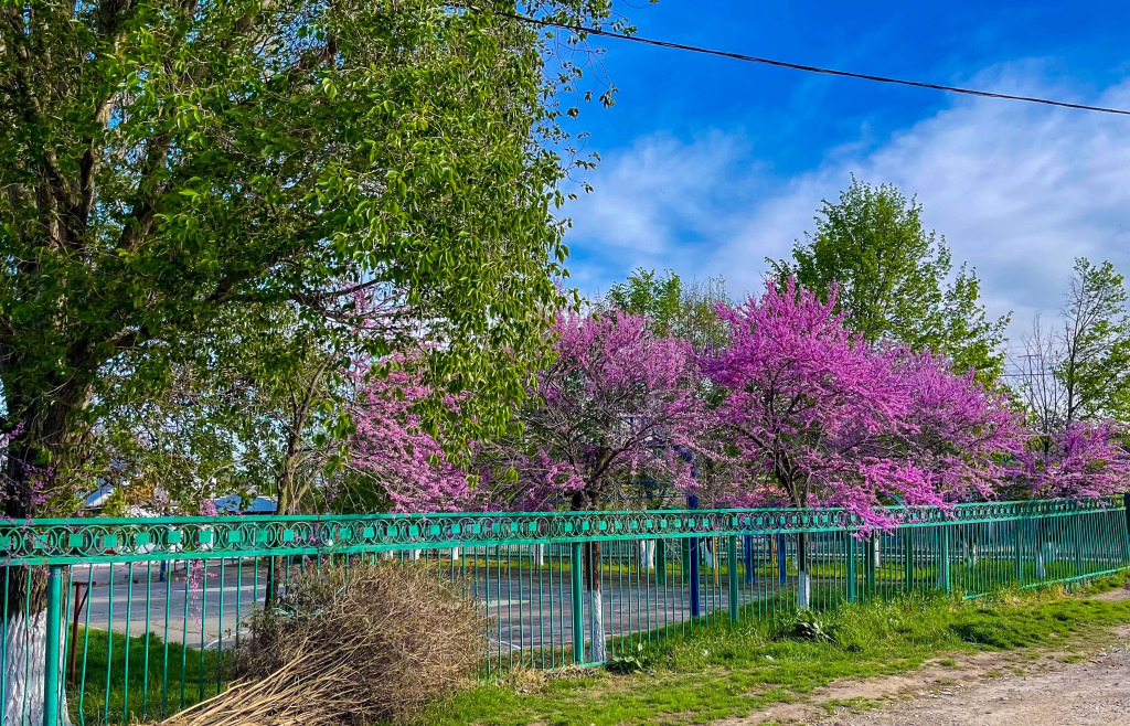 квартира р-н Ейский г Ейск ул Калинина 148 Ейское городское поселение фото 11