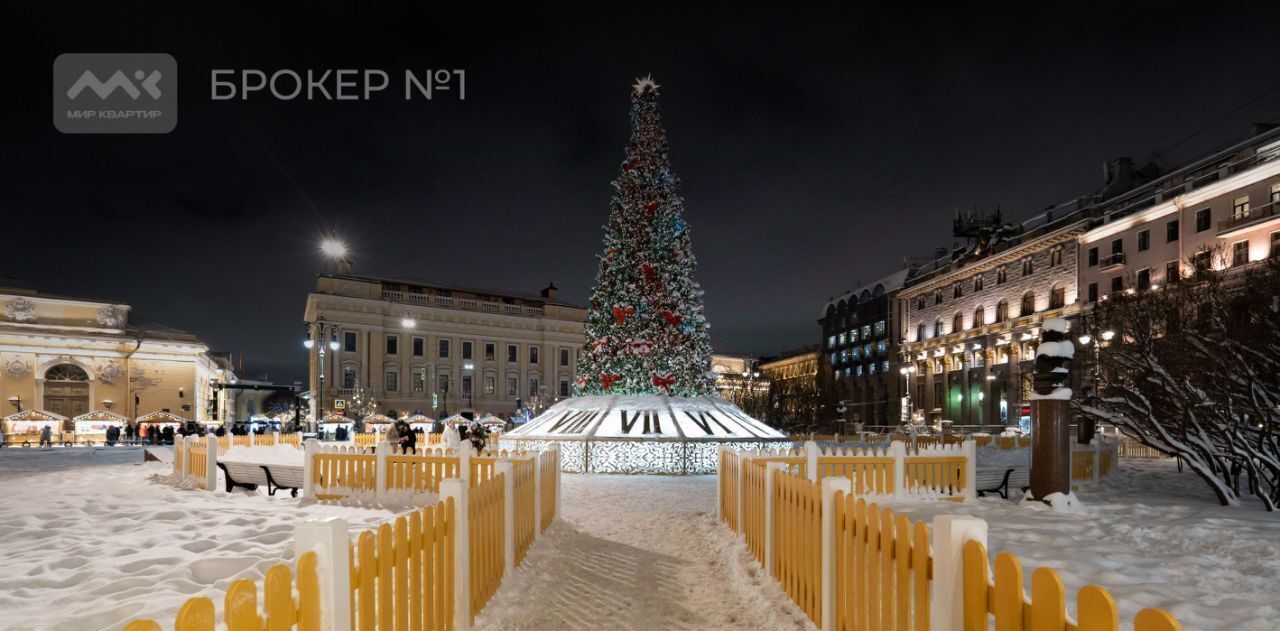 квартира г Санкт-Петербург метро Гостиный Двор ул Итальянская 33 Дворцовый округ фото 9