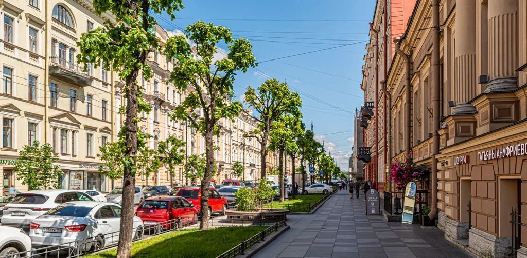 квартира г Санкт-Петербург метро Чернышевская ул Чайковского 27 округ Литейный фото 24