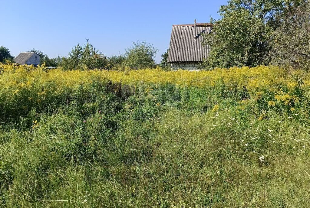 земля р-н Брянский с Толмачево СДТ Русь фото 4