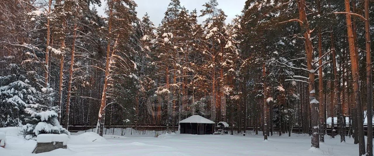 дом городской округ Раменский д Пласкинино Ипподром, 123П фото 5