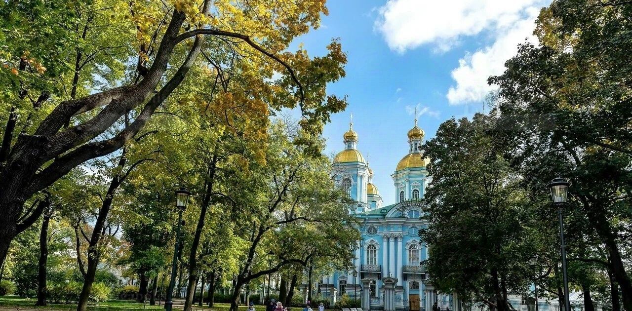 квартира г Санкт-Петербург метро Сенная Площадь р-н Адмиралтейский пр-кт Римского-Корсакова 31 фото 21