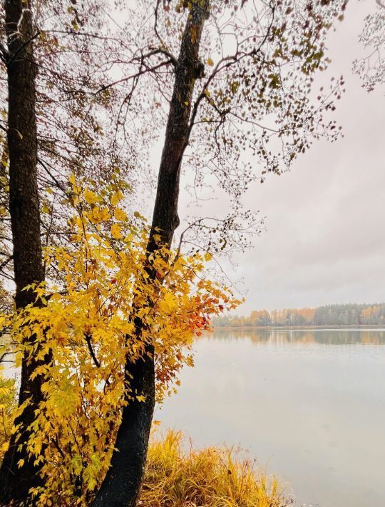 дом городской округ Воскресенск г Белоозёрский Отрадная тер., Ипподром фото 10