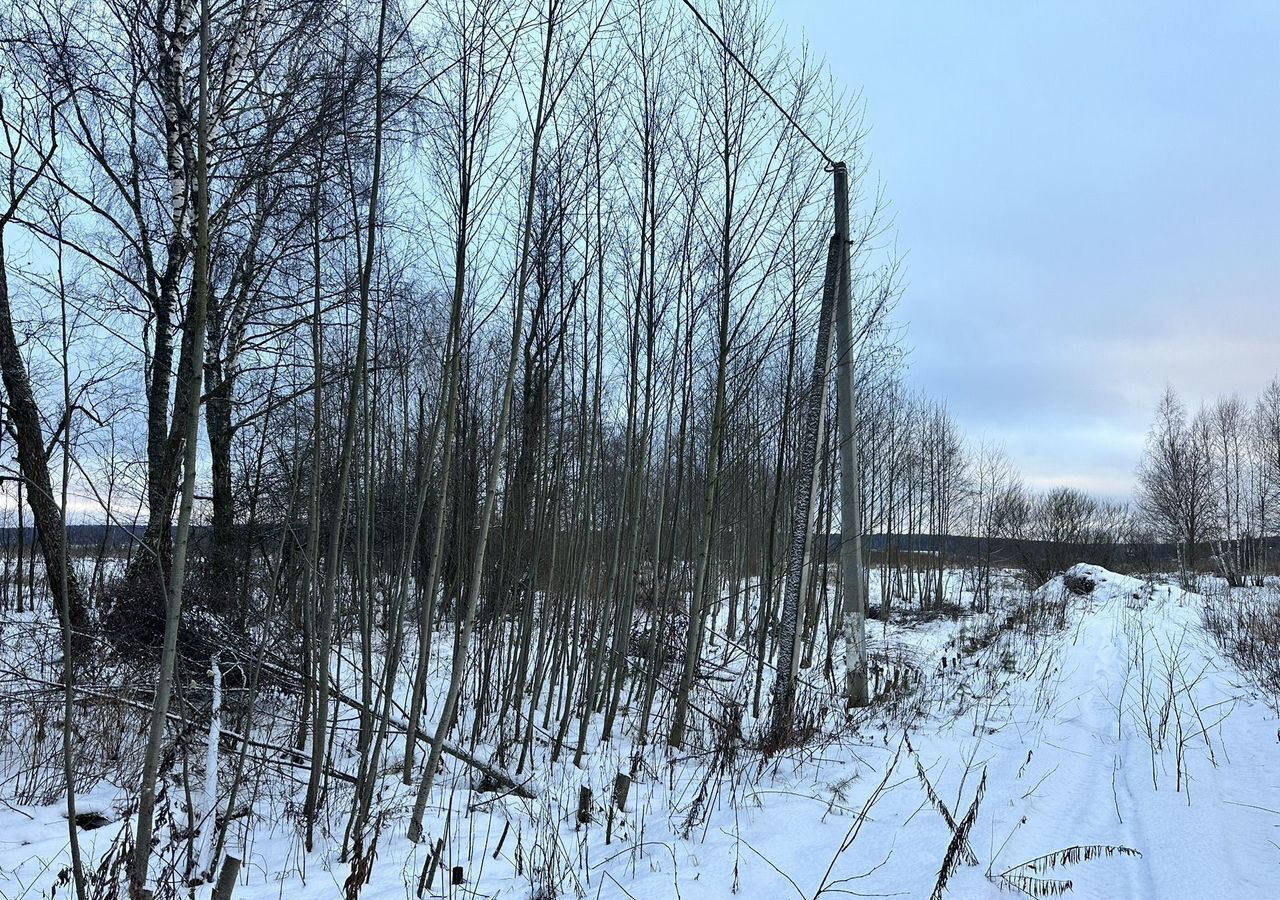 земля направление Курское (юг) ш Симферопольское 49 км, 46Н-12427, Чехов фото 5