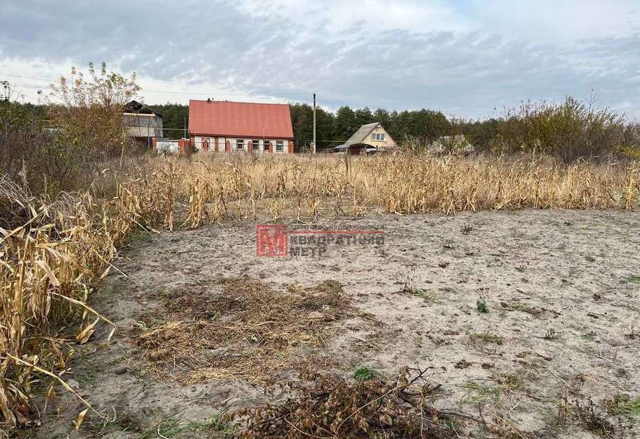 дом р-н Старооскольский с Обуховка ул Ерошенко 18 Городище, Старооскольский г. о. фото 19