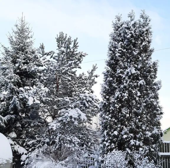 дом р-н Всеволожский снт Черная речка Свердловское городское поселение, Северная Самарка садоводческий массив, 4 фото 18