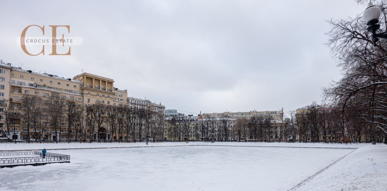 квартира г Москва метро Тверская пер Большой Патриарший 12с/1 муниципальный округ Пресненский фото 41