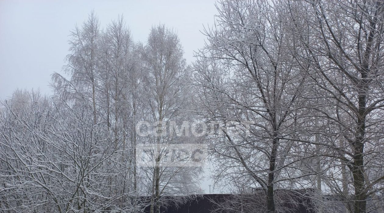 земля городской округ Егорьевск д Вишневая 5 фото 1