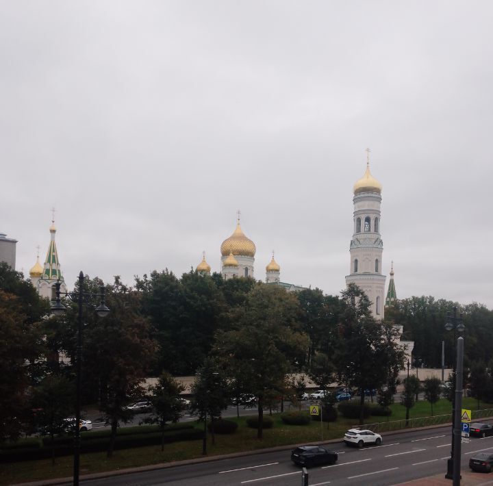 квартира г Санкт-Петербург метро Фрунзенская пр-кт Московский 79 округ Измайловское фото 14