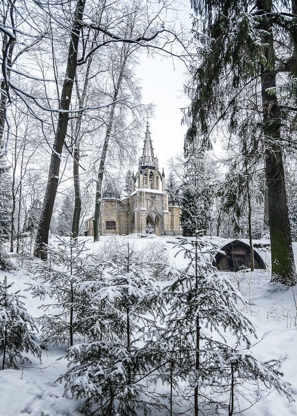 квартира г Санкт-Петербург п Парголово метро Парнас Кооперативная ул., 7 фото 39