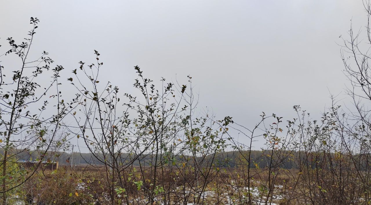 офис городской округ Чехов с Троицкое фото 1