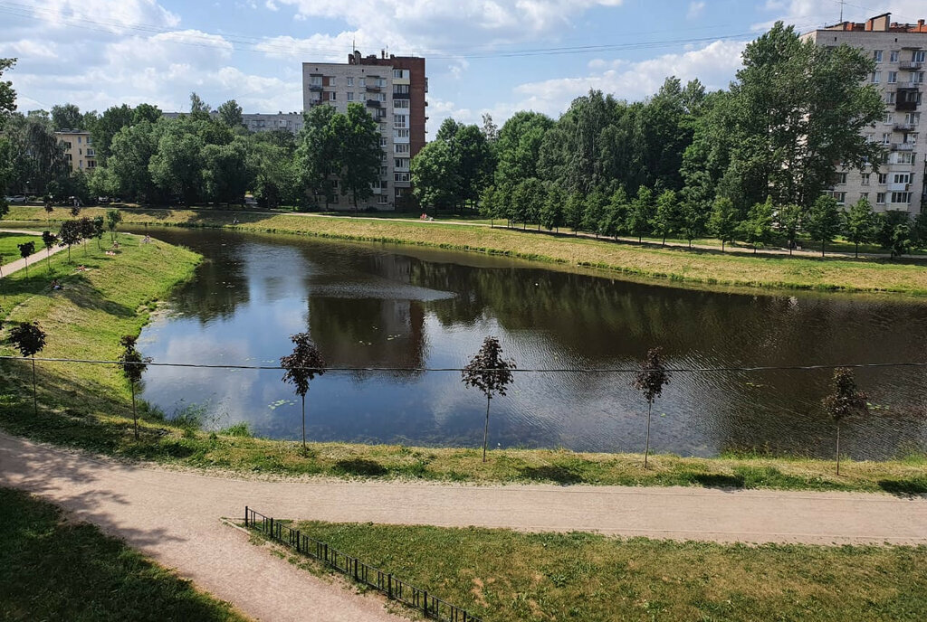 квартира г Санкт-Петербург метро Проспект Ветеранов ул Танкиста Хрустицкого 9 округ Дачное фото 3