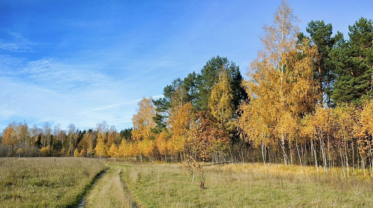 земля городской округ Истра д Первомайское 57 км, ул. Пушкина, г. о. Истра, Новопетровское, Волоколамское шоссе фото 3