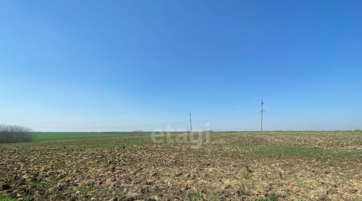 земля р-н Ейский г Ейск ул Красная Ейское городское поселение фото 4