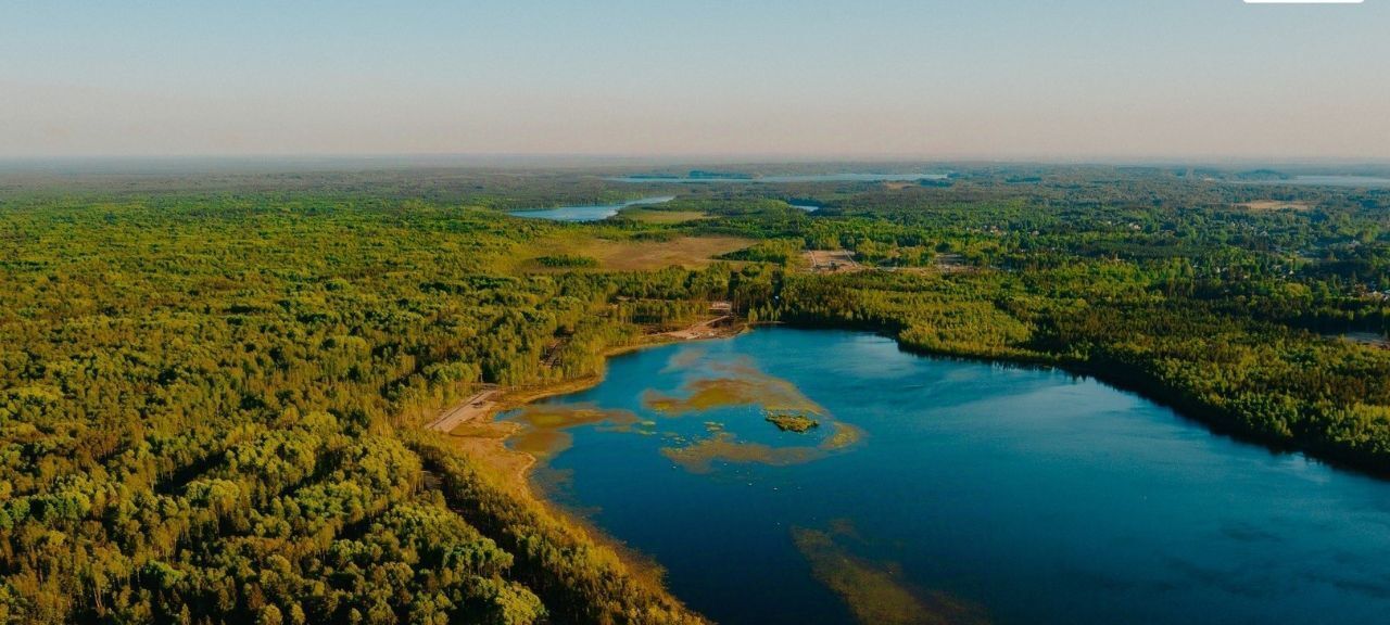 земля р-н Всеволожский Токсовское городское поселение, Экофорест кп фото 2